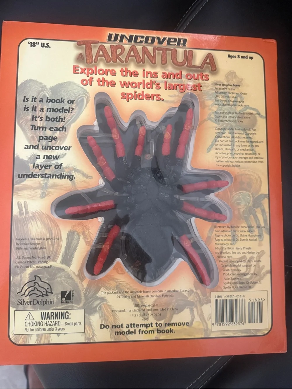 Source Unknown 3D Tarantula Model - Orange and Black